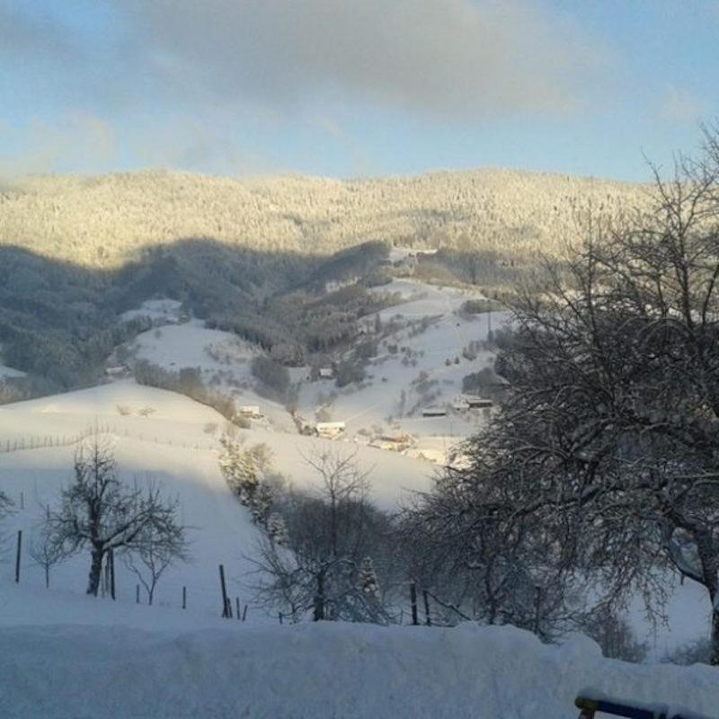 Ferienwohnung Brandenkopf Oberharmersbach Bagian luar foto